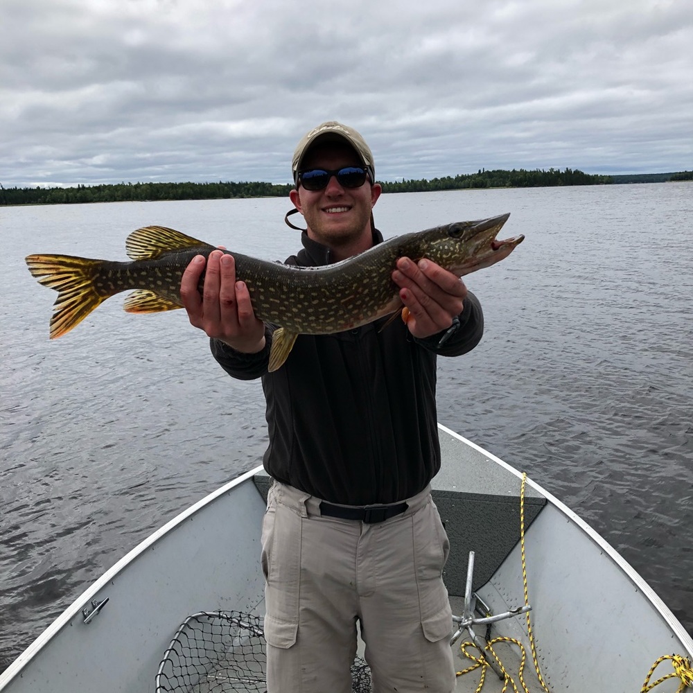 Meet your Posher, Camden